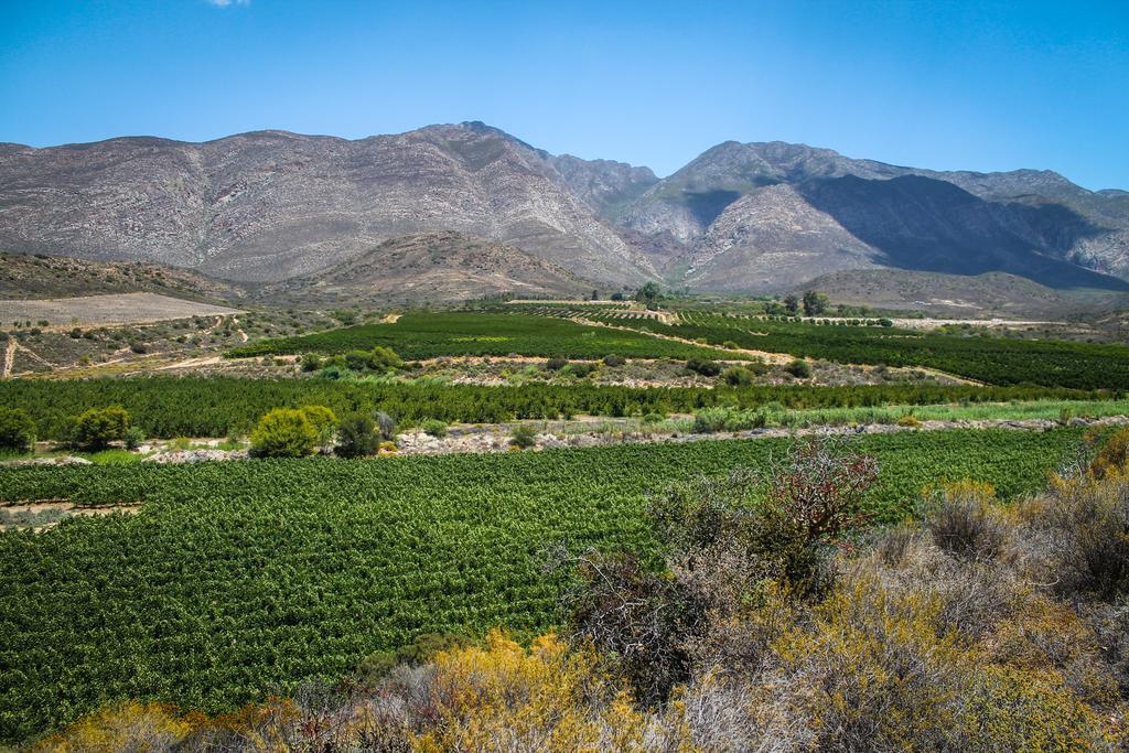 Bon Accord Farm Cottages Montagu Δωμάτιο φωτογραφία