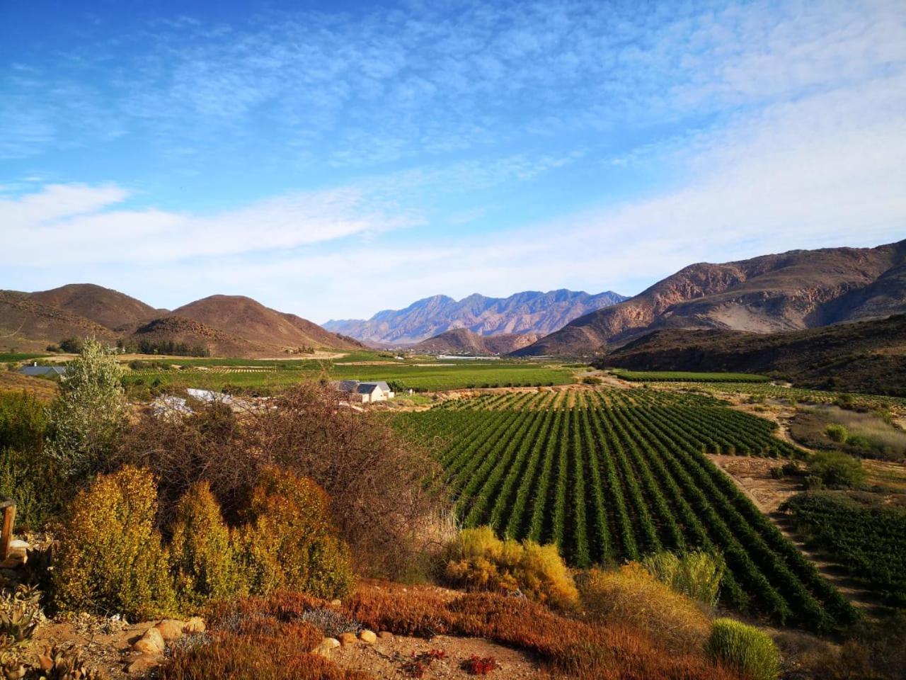 Bon Accord Farm Cottages Montagu Εξωτερικό φωτογραφία